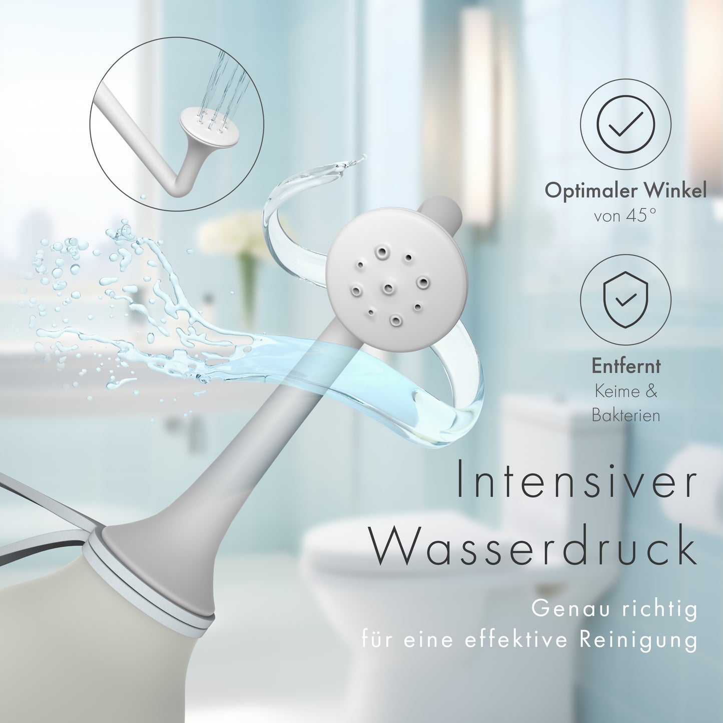 Po-Dusche (BIDETLITY)